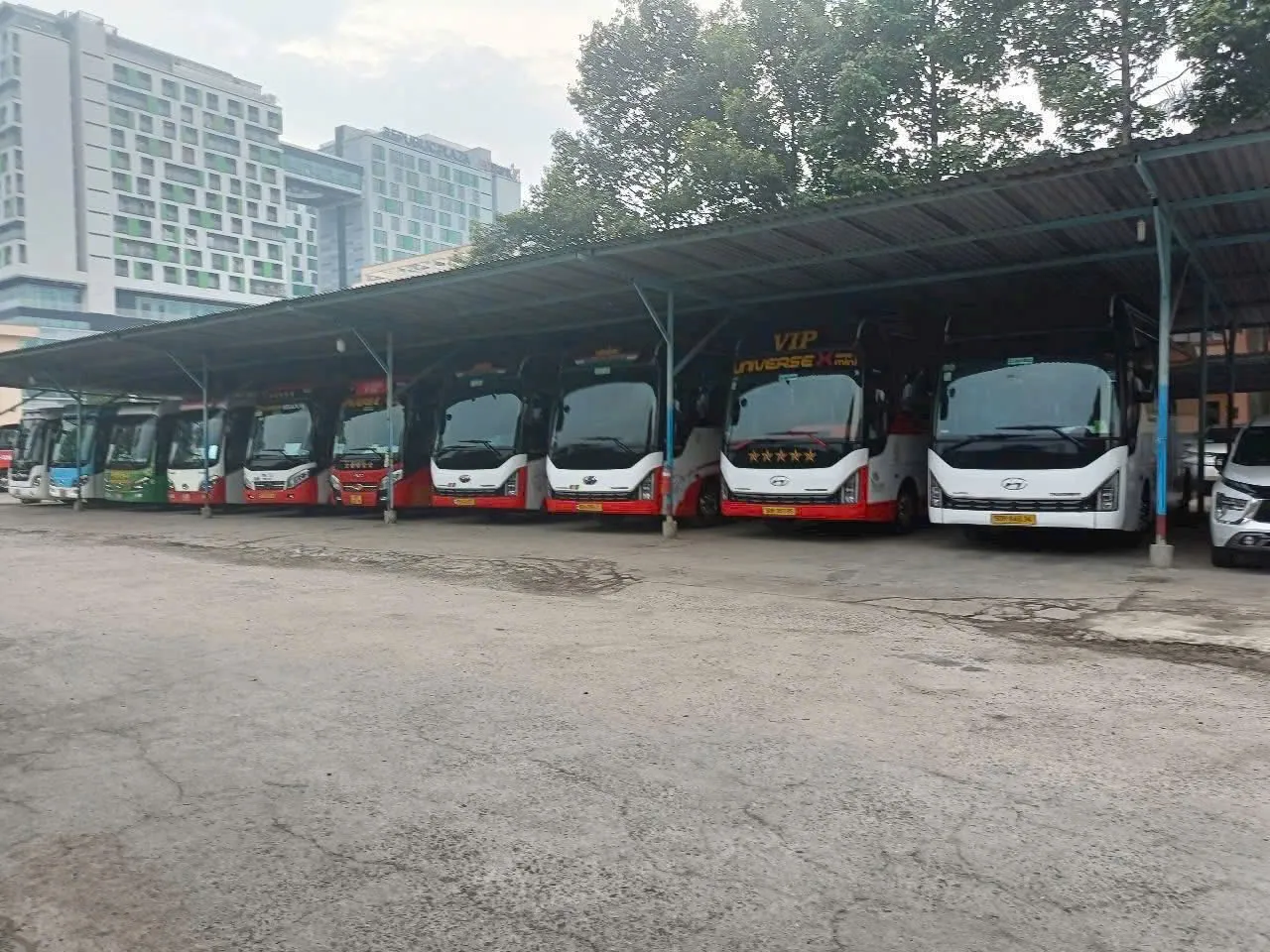 Xe 45 chỗ